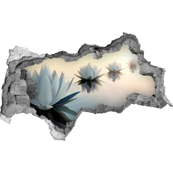 Fototapeta Samolepící díra na stěnu Květy lotosu