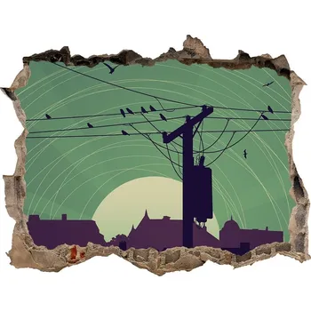 Fototapeta Díra 3D fototapeta nálepka Ptáci město