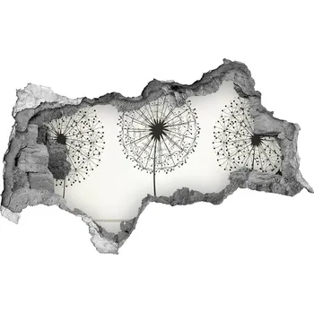 Fototapeta Samolepící díra na stěnu Pampelišky