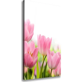 Obraz Vertikální Foto obraz na plátně Růžové tulipány