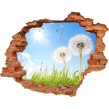 Fototapeta Fototapeta díra na zeď Pampelišky
