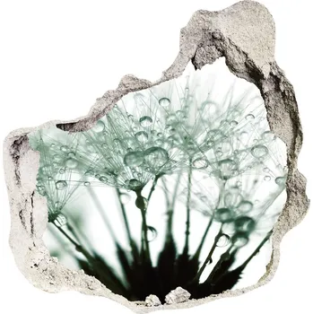 Fototapeta Fotoobraz díra na stěnu Semena pampelišky