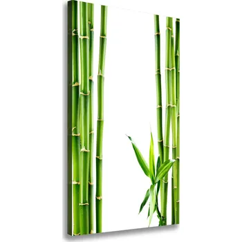 Obraz Vertikální Moderní fotoobraz canvas na rámu Bambus
