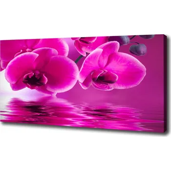 Obraz Foto obraz na plátně Orchidej