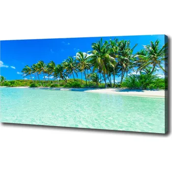 Obraz Foto obraz na plátně Tropická pláž