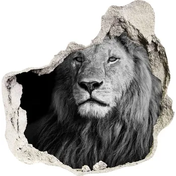 Fototapeta Díra 3D fototapeta nálepka Lev