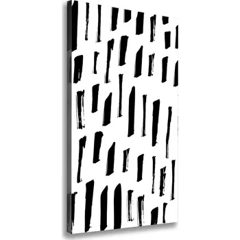 Obraz Vertikální Foto obraz na plátně Černo-bílá fleky