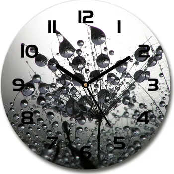 Hodiny Skleněné hodiny kulaté Semena pampelišky