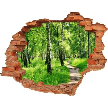 Fototapeta Nálepka fototapeta 3D výhled Břízový les