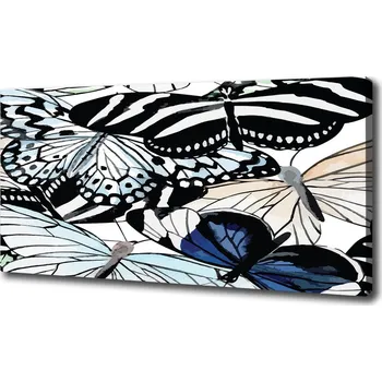 Obraz Foto obraz na plátně Motýli a květiny