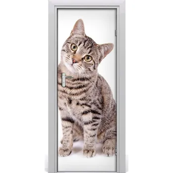 Fototapeta Samolepící fototapeta na dveře Kočka 75x205 cm
