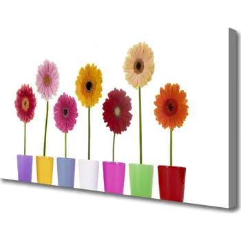 Obraz Obraz na plátně Květiny Rostlina Příroda 100x50 cm