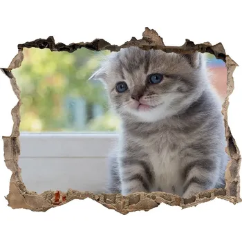 Fototapeta Díra 3D fototapeta na stěnu Malá kočka u okna