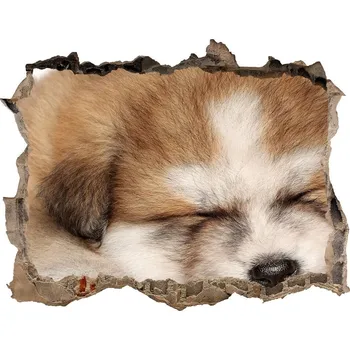 Fototapeta Díra 3D fototapeta nálepka Štěně Akity