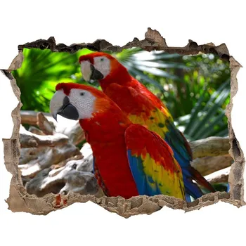 Fototapeta Díra 3D fototapeta nálepka Papoušek Ara