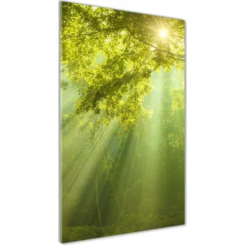 Obraz Vertikální Foto obraz fotografie na skle Slunce v lese
