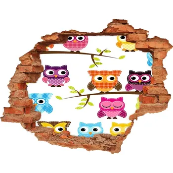 Fototapeta Samolepící nálepka Barevné sovy