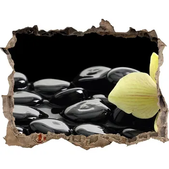 Fototapeta Samolepící díra na stěnu nálepka Orchidej