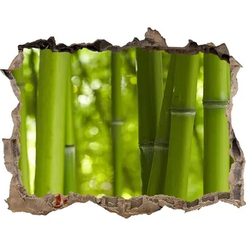 Fototapeta Samolepící nálepka fototapeta Bambus