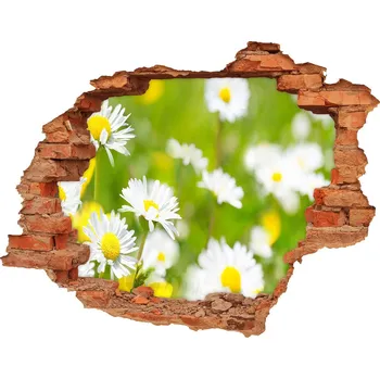 Fototapeta Samolepící díra nálepka Sedmikrásky