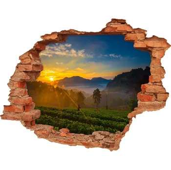 Fototapeta Díra 3D ve zdi nálepka Plantáž čaje