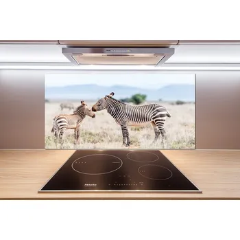 Obklad Panel do kuchyně Zebry v horách