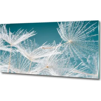 Obraz Foto obraz fotografie na skle Semeno pampelišky