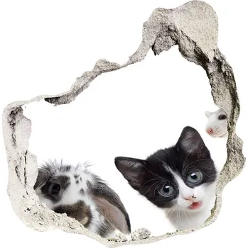 Fototapeta Díra 3D fototapeta nálepka Domácí zvířata