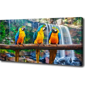 Obraz Foto obraz na plátně Papoušci na větvi
