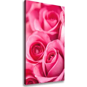 Obraz Vertikální Vertikální Foto obraz na plátně do obýváku Růžové růže