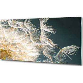 Obraz Foto obraz skleněný horizontální Semeno pampelišky