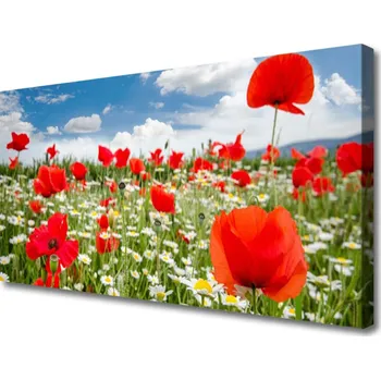 Obraz Obraz na plátně Louka Květiny Příroda 125x50 cm