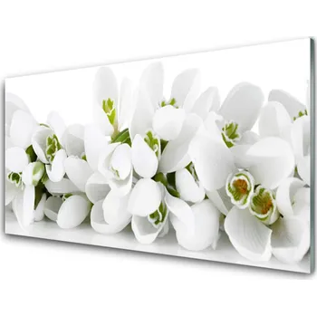 Obraz Obraz na skle Květiny Rostlina Příroda 140x70 cm 4 Přívěsky