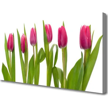 Obraz Obraz na plátně Tulipány Květiny Rostlina 120x60 cm