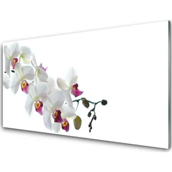 Obraz Obraz na skle Květiny Rostlina Příroda 140x70 cm 4 Přívěsky
