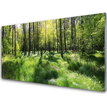 Obraz Obraz na skle Les Tráva Rostlina Příroda 140x70 cm 4 Přívěsky