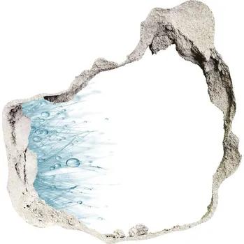 Fototapeta Samolepící díra nálepka Pampeliška