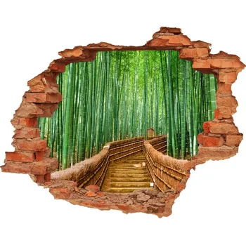 Fototapeta Díra 3D fototapeta na stěnu nálepka Bambusový les