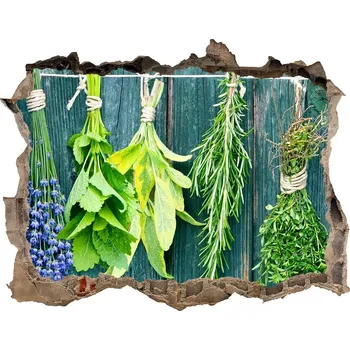 Fototapeta Nálepka 3D díra Bylinky na provázku