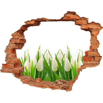 Fototapeta Samolepící nálepka fototapeta Bílé tulipány