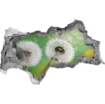 Fototapeta Samolepící díra nálepka Pampelišky