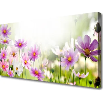 Obraz Obraz na plátně Květiny Rostlina Příroda 140x70 cm