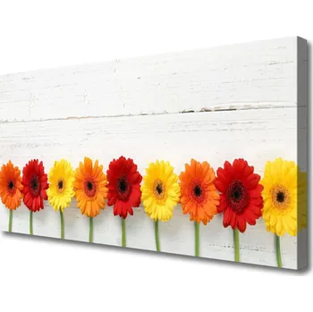 Obraz Obraz na plátně Květiny Rostlina Příroda 100x50 cm