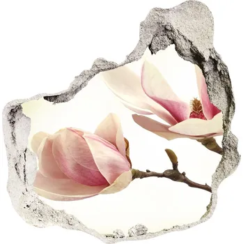 Fototapeta Samolepící díra nálepka Magnolie