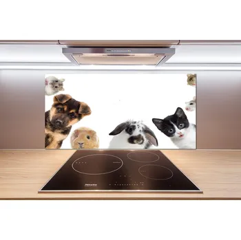 Panel do kuchyně Domácí zvířata