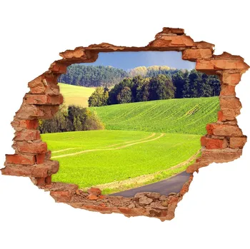 Fototapeta Nálepka fototapeta 3D výhled Polní cesta