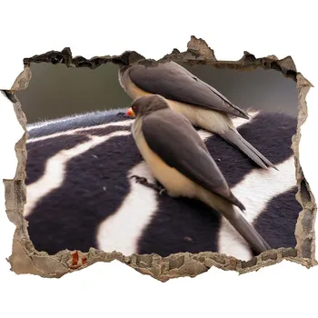 Fototapeta Díra 3D fototapeta nálepka Ptáci a zebra