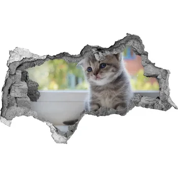 Fototapeta Díra 3D fototapeta na stěnu Malá kočka u okna