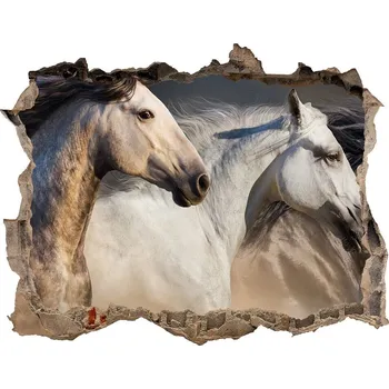 Fototapeta Díra 3D fototapeta nálepka Koně ve cvalu