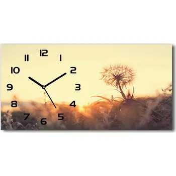 Hodiny Moderní skleněné hodiny na stěnu Pampeliška